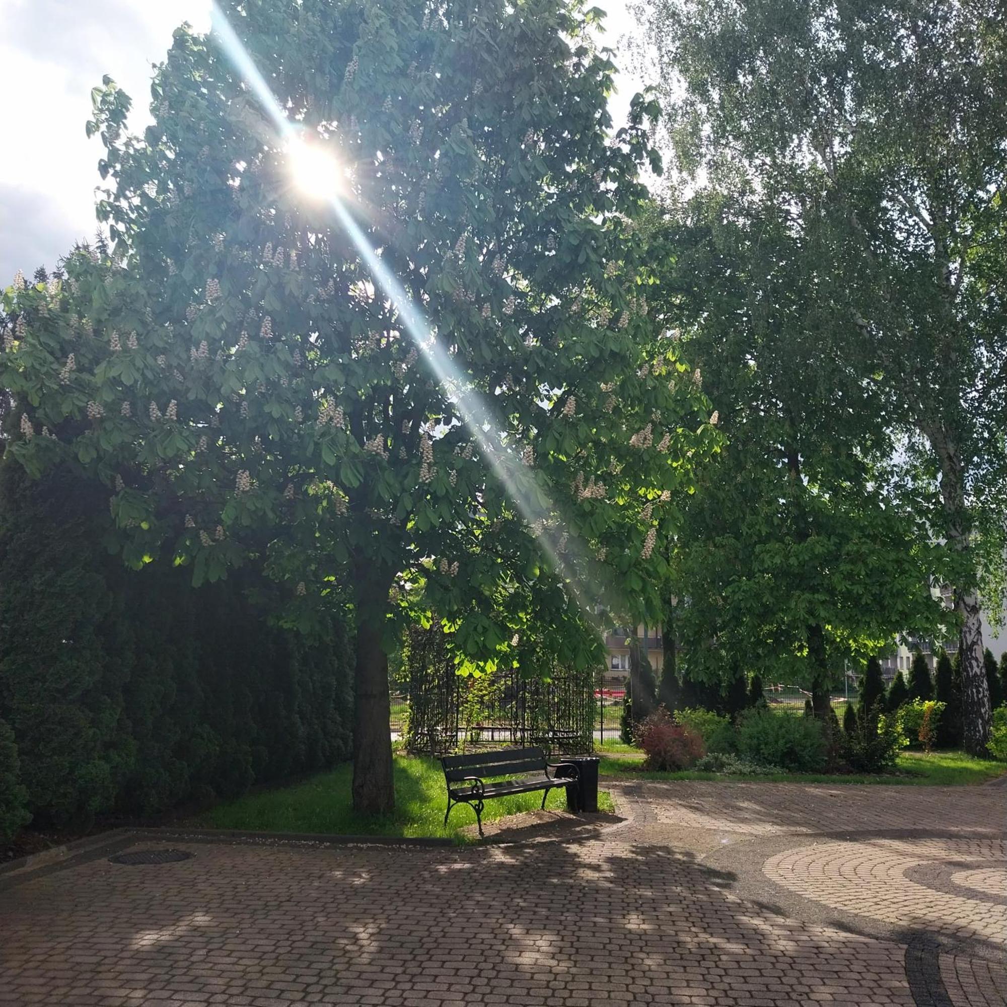 Pensjonat Sielec Hotel Sosnowiec Buitenkant foto