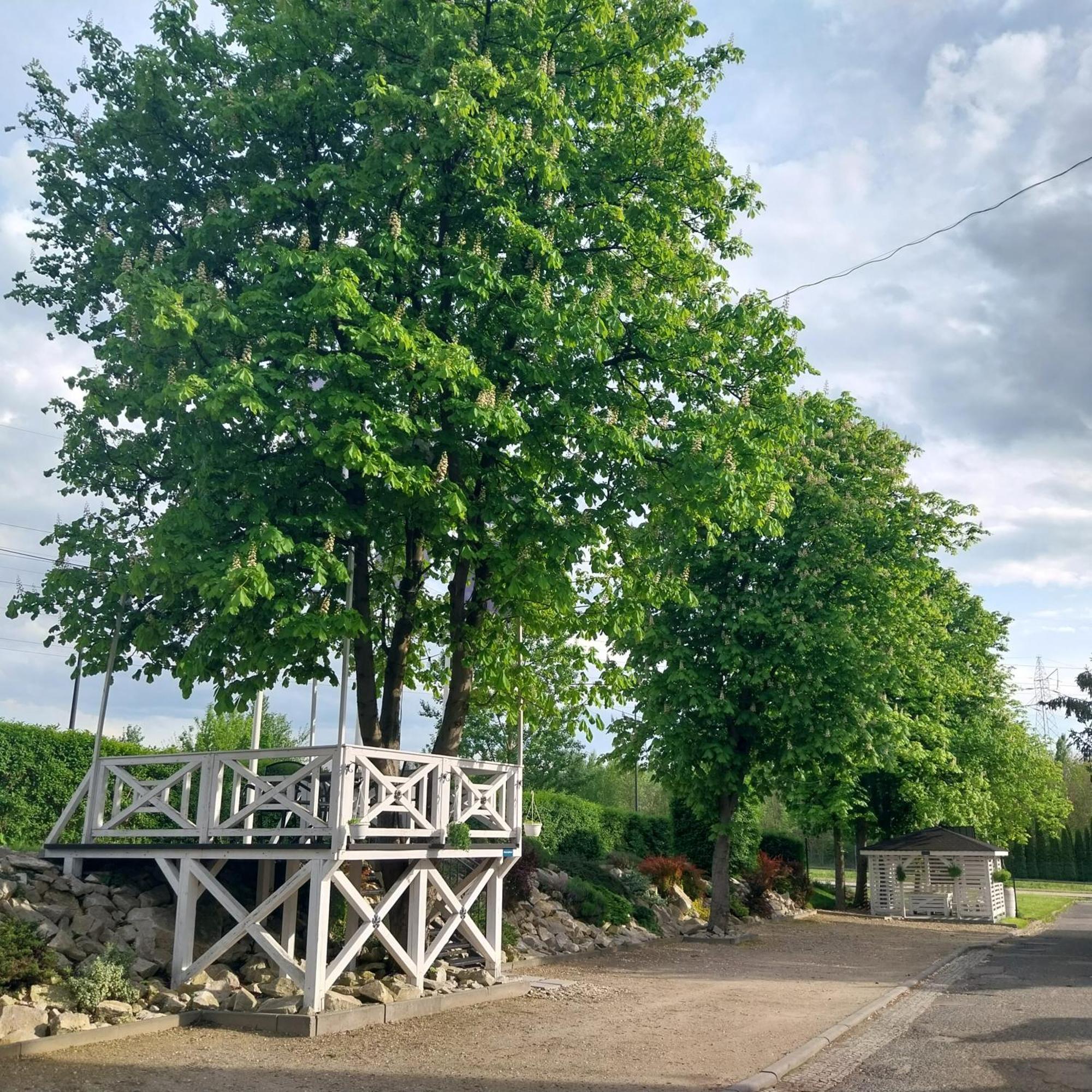 Pensjonat Sielec Hotel Sosnowiec Buitenkant foto